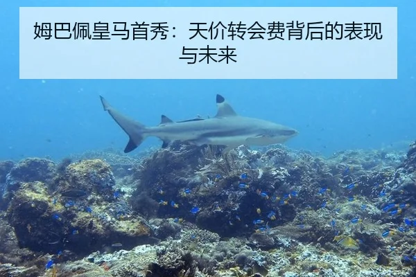 姆巴佩皇马首秀：天价转会费背后的表现与未来