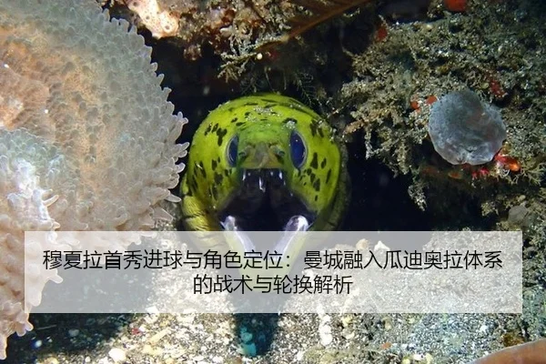 穆夏拉首秀进球与角色定位：曼城融入瓜迪奥拉体系的战术与轮换解析
