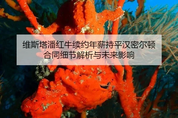 维斯塔潘红牛续约年薪持平汉密尔顿 合同细节解析与未来影响